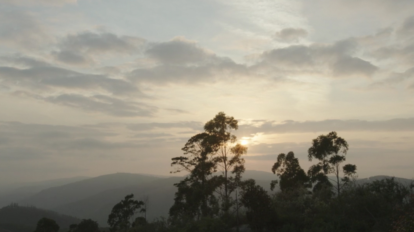 Lorenzo Dal Ri — Sound Design / Location Recording ZEGNA – Dare Avere